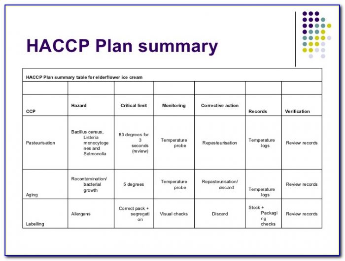 Haccp Plan Form 2 700x531 