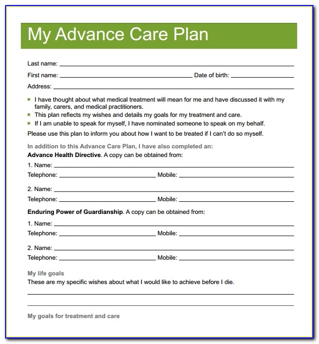 Senior Care Plan Template