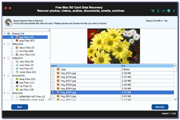recover deleted files from sd card free online